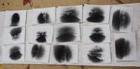/album/camera-obscura-v-stredoslovenskej-galerii-v-bb/p1010161-small-jpg4/